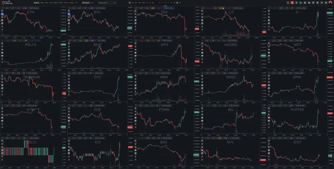 Crypto Screener Interface